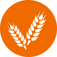 Supplier Quality Assurance